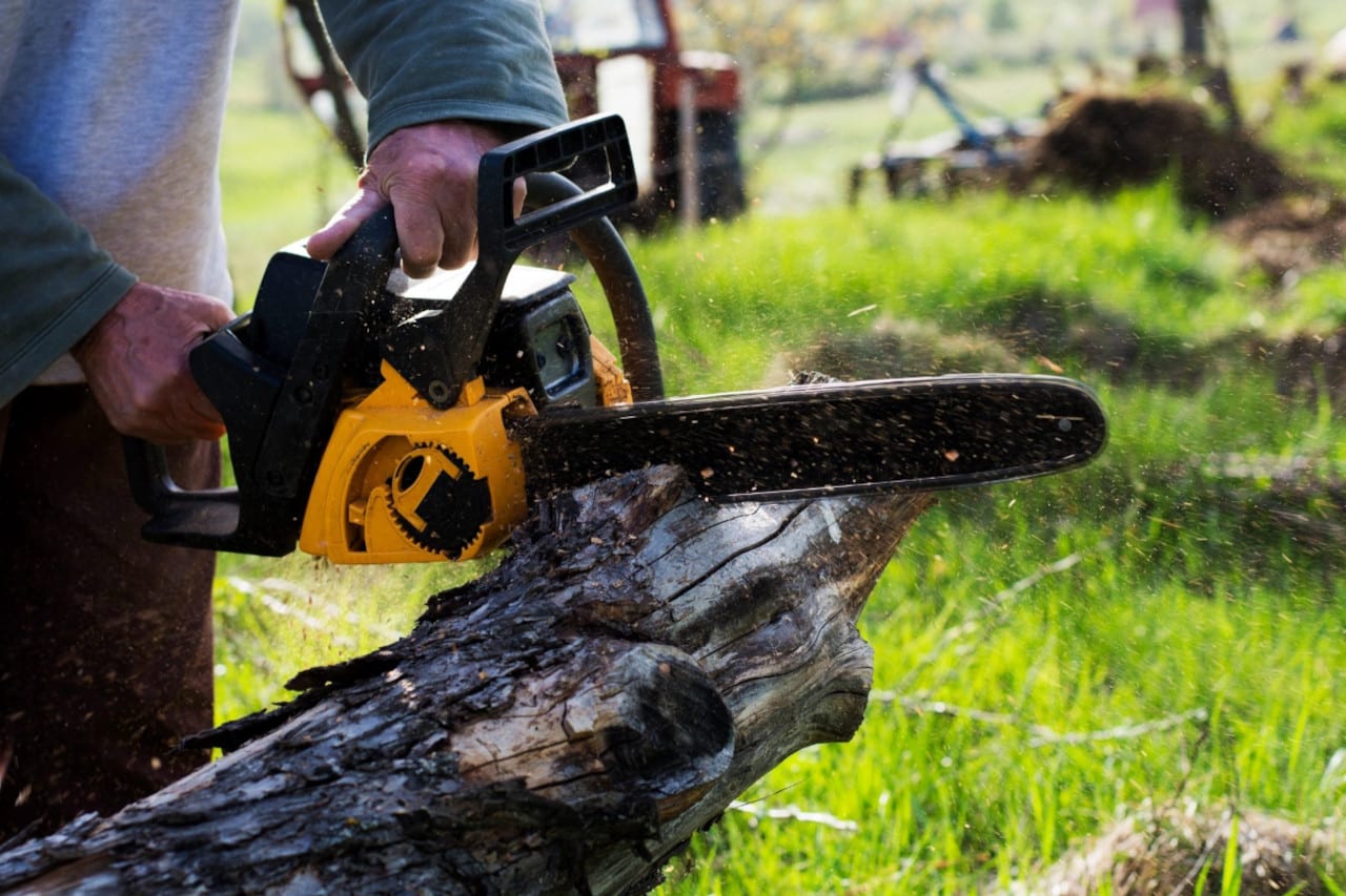Cutting a log using a chainsaw