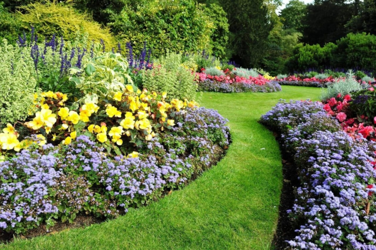 Colorful flower garden